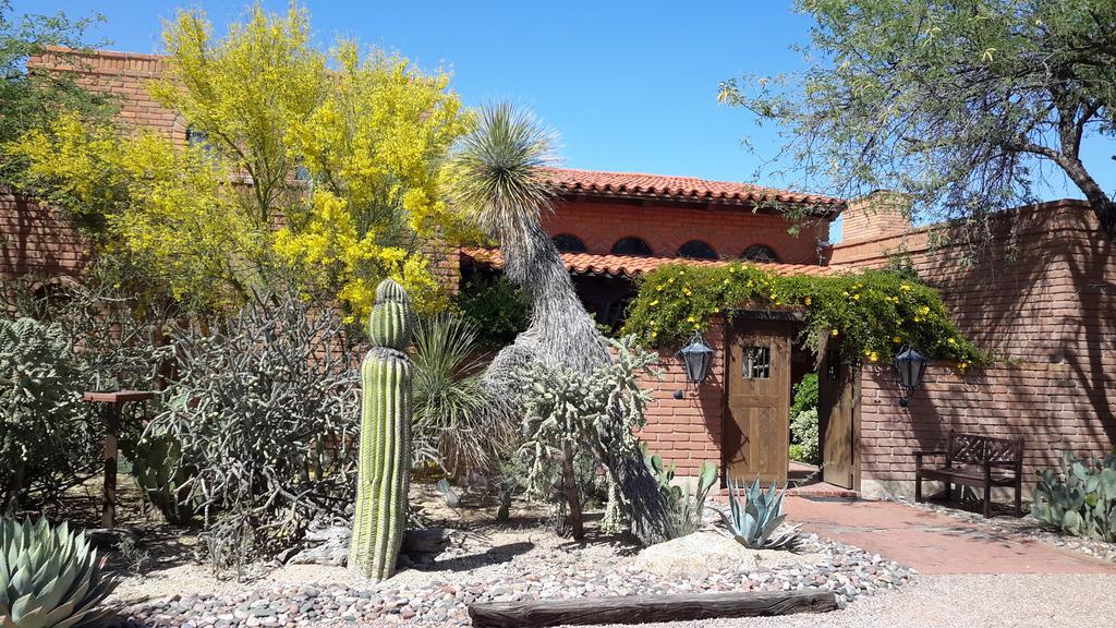 Desert Trails Bed & Breakfast Tanque Verde エクステリア 写真